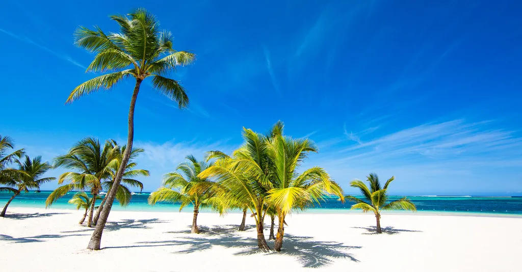 Palmeras en una playa de arena blanca con el océano turquesa y un cielo azul, un paisaje típico del Caribe. Viajes a la República Dominicana, turismo de playa y vacaciones de sol