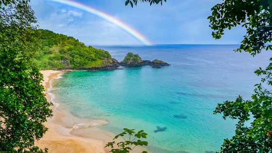 Imagen de portada de Fernando de Noronha
